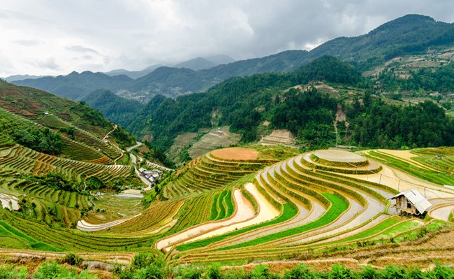 Rizières en terrasses majestueuses à La Pan Tan
