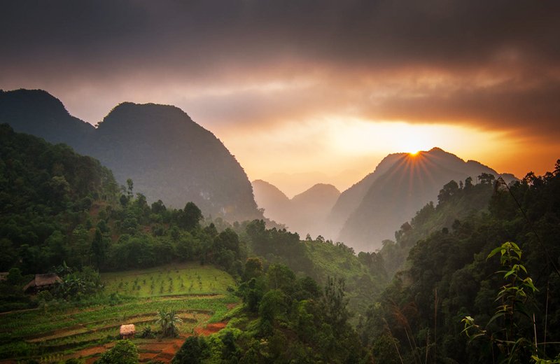 Parc national au Vietnam