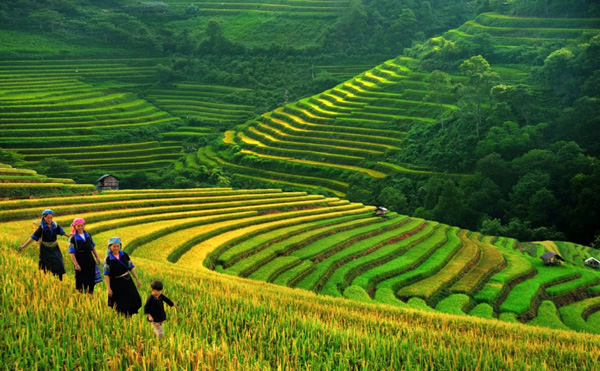Sapa-rice-terrace-and-ethniccal-people