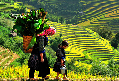 Promenade à Sapa en 3 jours