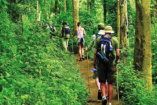 trekking en Thaïlande