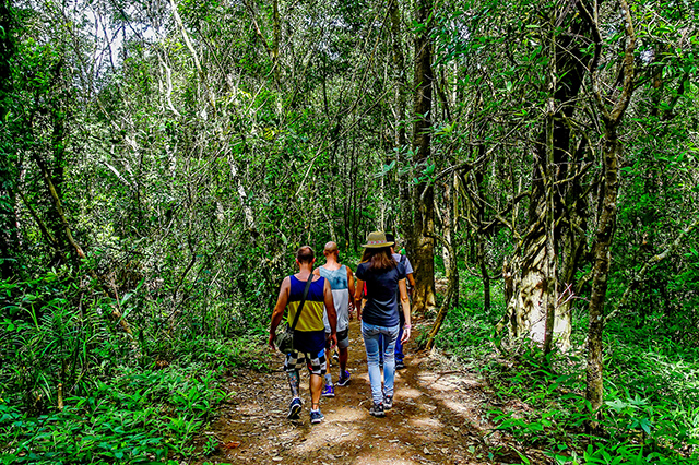 trekking en Thaïlande