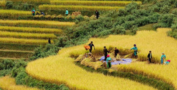 Village de Lao Chai et Ta Van