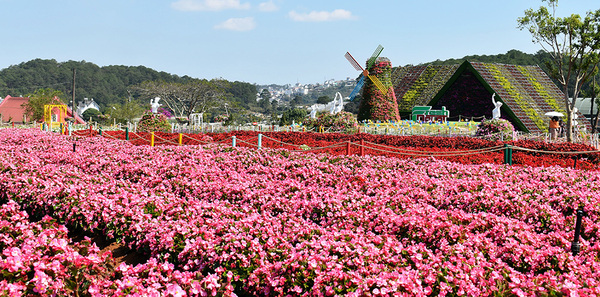 Village de fleurs Van Thanh - Da Lat